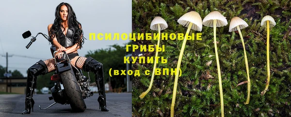 марихуана Куйбышев