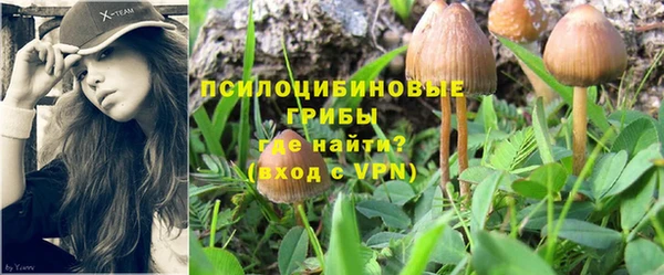 марихуана Куйбышев